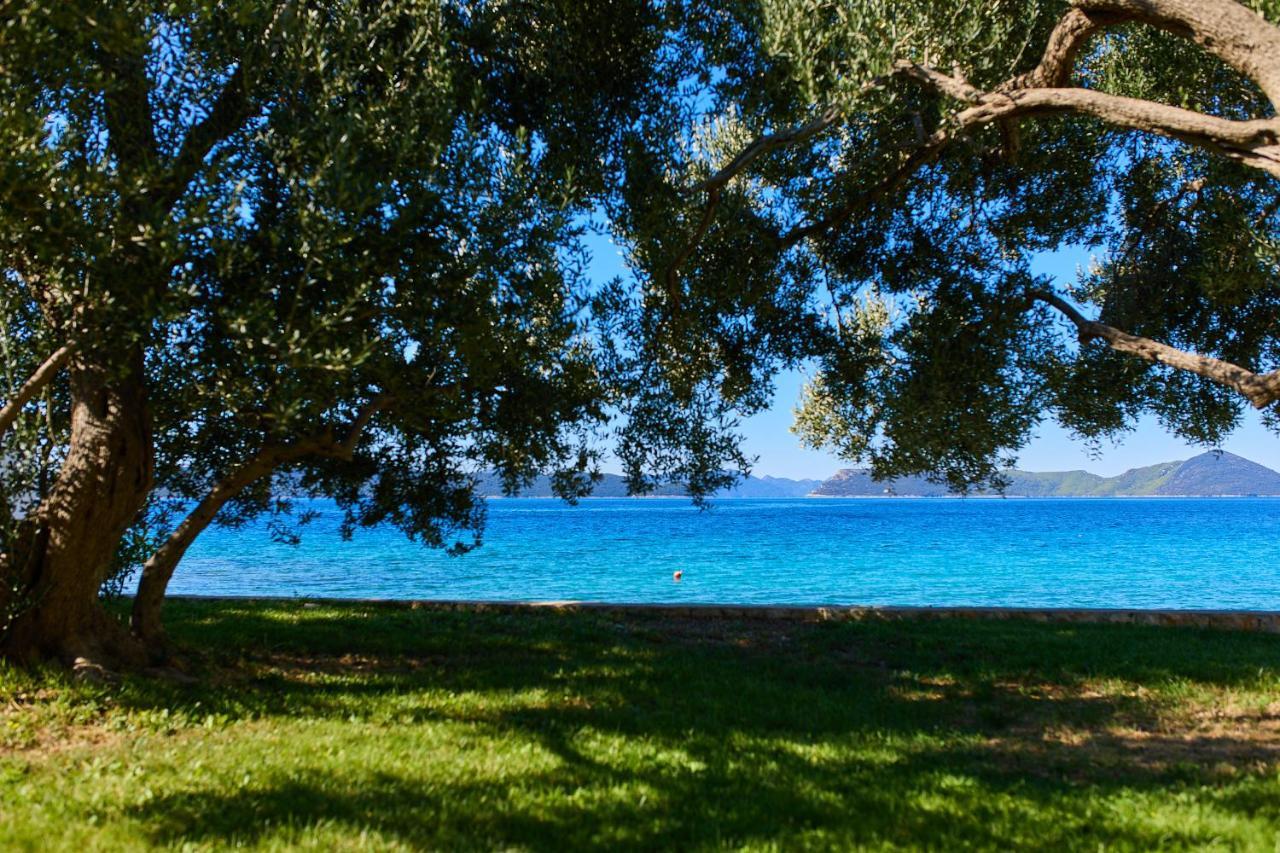 Hedera Estate, Villa Hedera XV Slano Kültér fotó